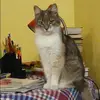 Отзыв от Мария Галкина